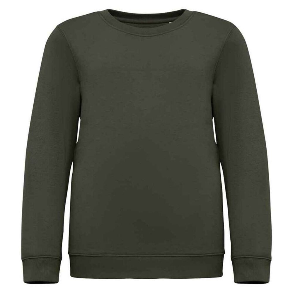 Native Spirit Childrens/Kids Sweatshirt / Natural Khaki